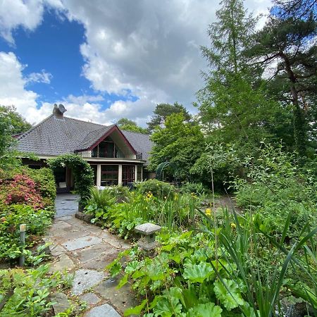 Sjieke Gezellige Villa In Het Bos Lieshout Esterno foto
