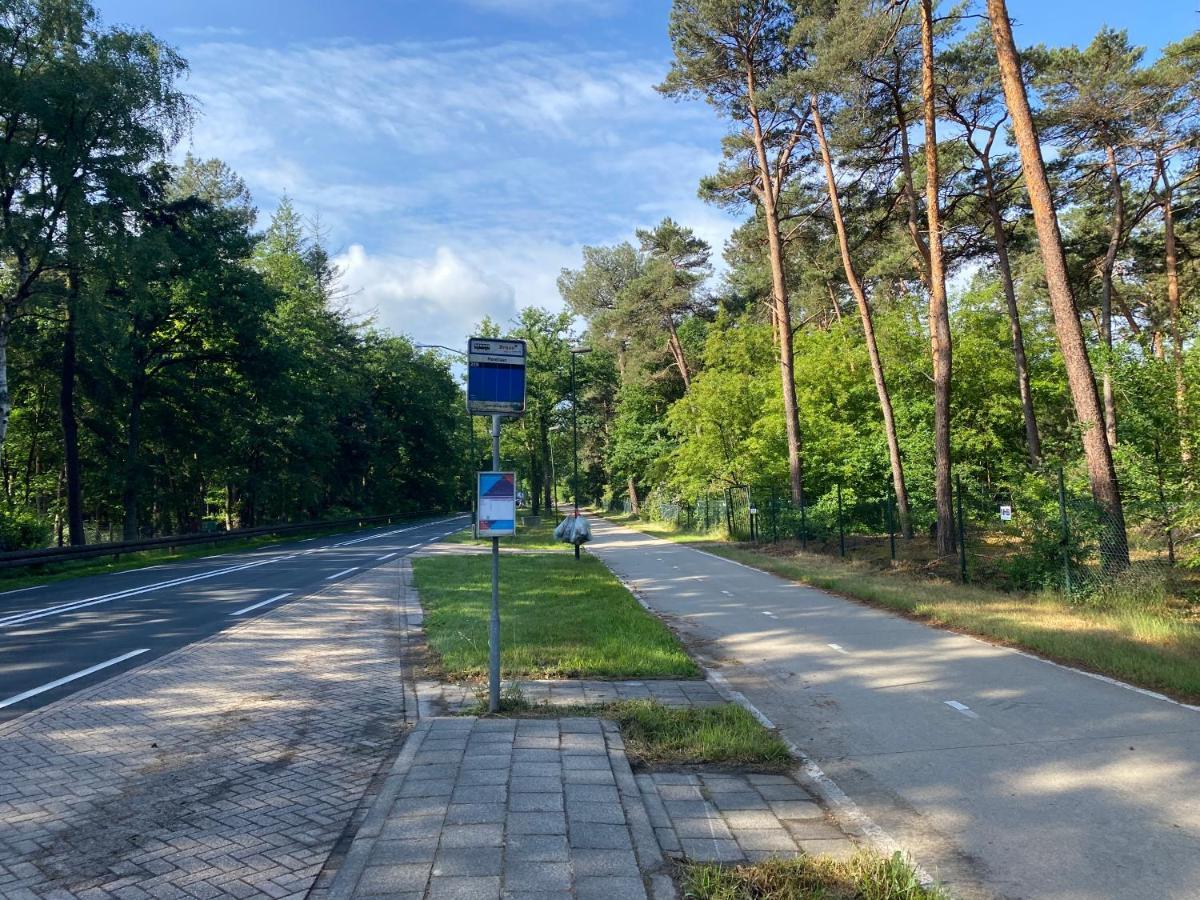 Sjieke Gezellige Villa In Het Bos Lieshout Esterno foto