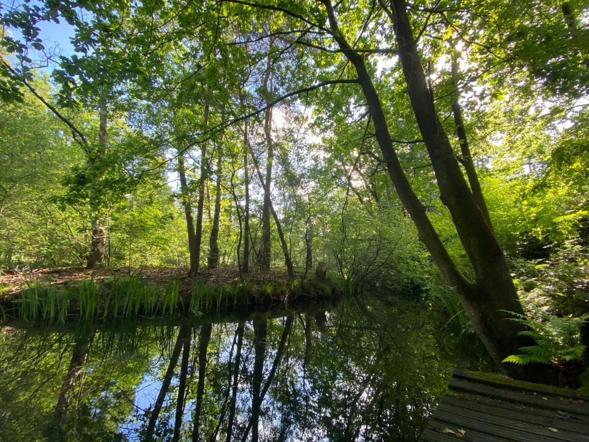 Sjieke Gezellige Villa In Het Bos Lieshout Esterno foto